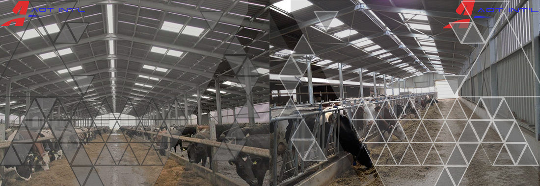 AOT Animal Husbandry Agricultural Steel Structure Building.jpg