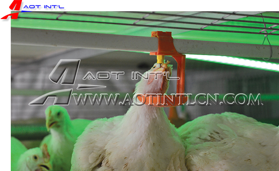 Prefab Steel Structure Poultry Farm