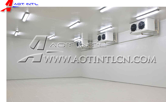 Pre-Engineered Steel Structure Cold Storage