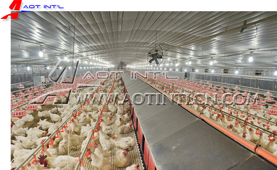 AOT Poultry Farm Nesting System.jpg